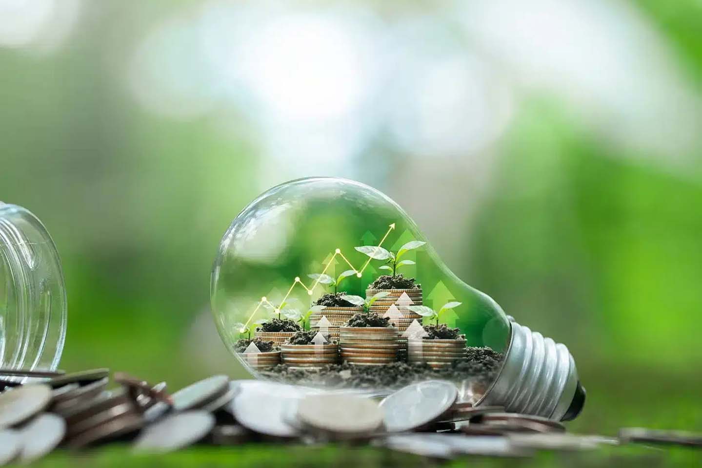 Biomasseenergie sparen: Doppelte Vorteile von sauberer Energie und Abfallnutzung