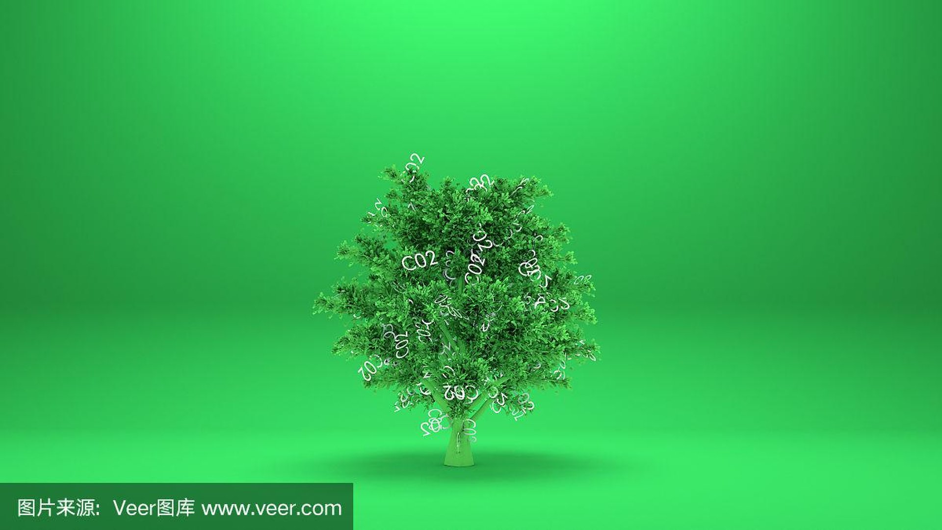 Ökogas Produktionsanlage Biomasse Bäume CO₂-Aufnah